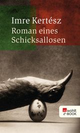 ROMAN EINES SCHICKSALLOSEN