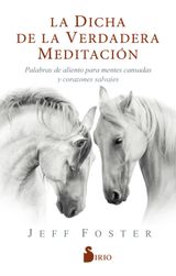 LA DICHA DE LA VERDADERA MEDITACIN