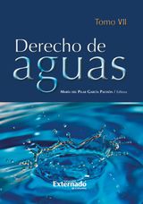 DERECHO DE AGUAS TOMO VII