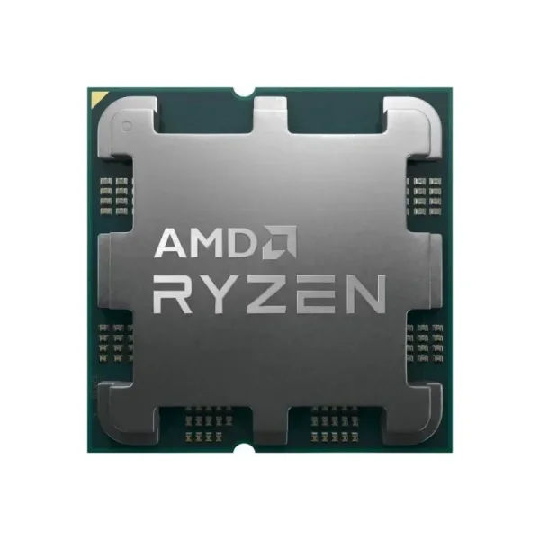 Processor