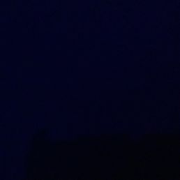 Ảnh 19