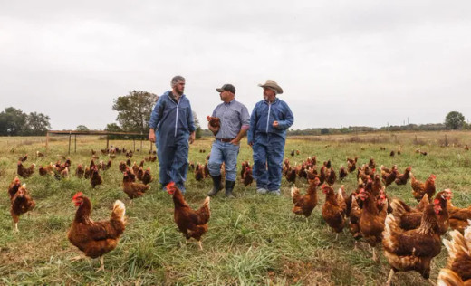 How Vital Farms Is Avoiding The Great Resignation While Embracing Remote Work And Building Diversity