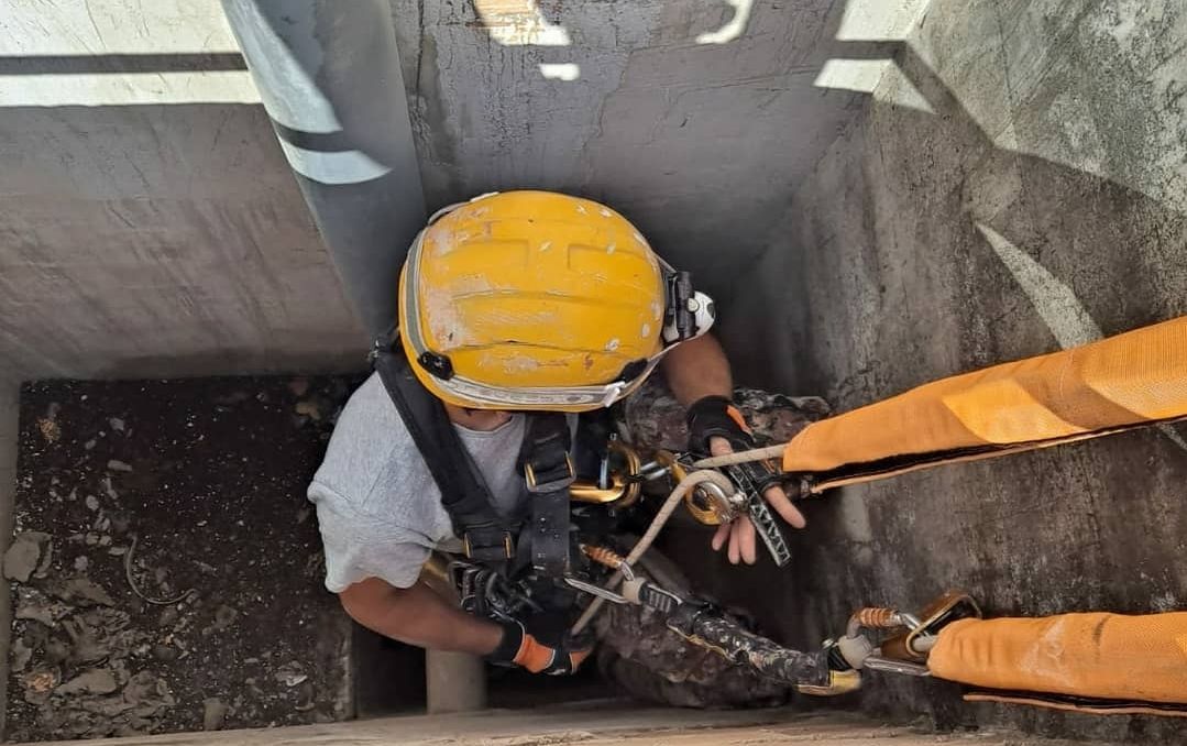 Expertos en seguridad