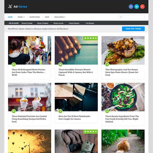 Woffice - Intranet/Extranet WordPress Theme
