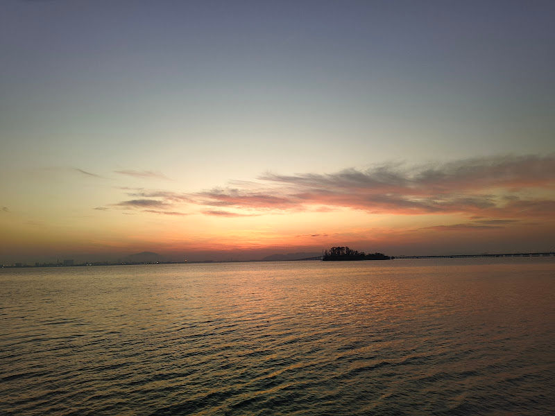 The Light City Lookout Point