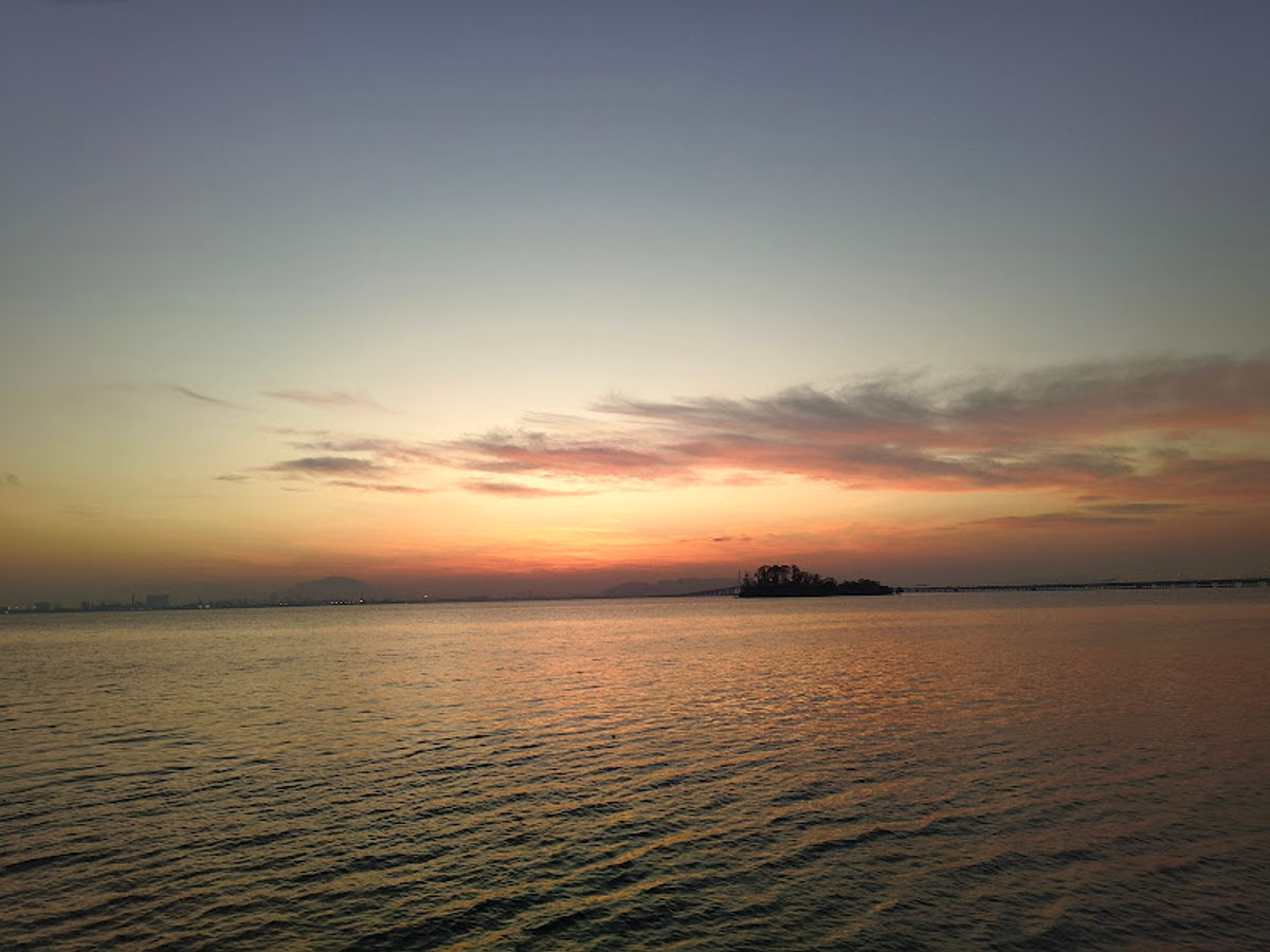 The Light City Lookout Point