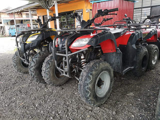 Penang ATV Eco Tour Balik Pulau 1