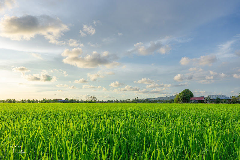 Bicycle Track, Balik Pulau