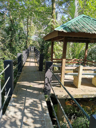 Air Itam Recreation Forest 1