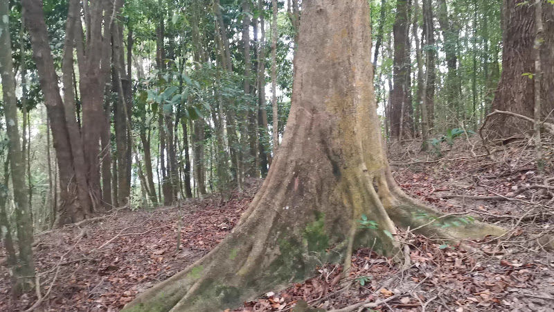 Bukit Kampung Binjai