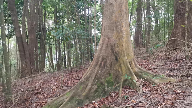 Bukit Kampung Binjai