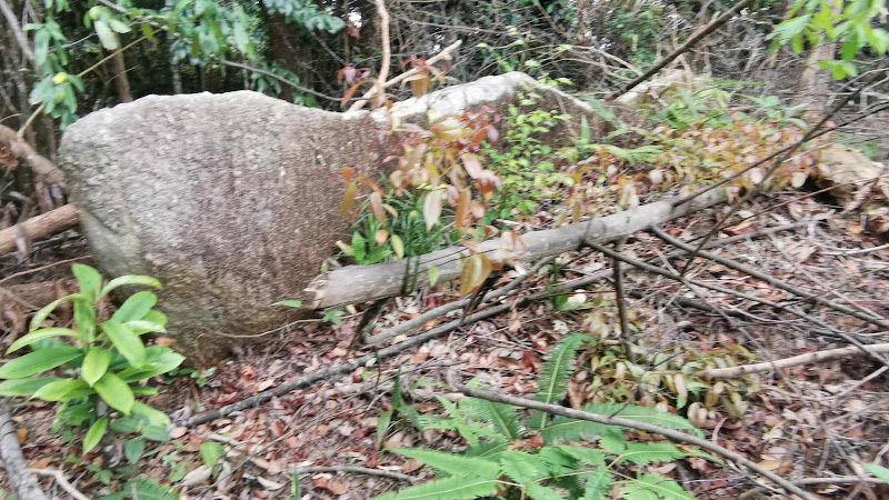 Bukit Kampung Teluk Bukit