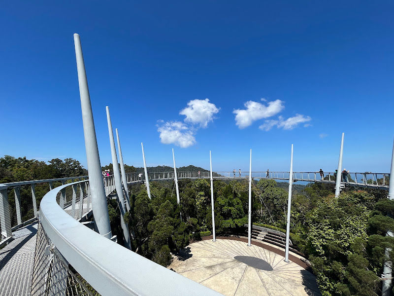 Curtis Crest Treetop Walk
