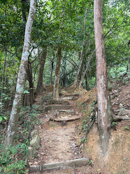 Moongate Trail Botanic Garden