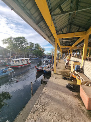 猫猫沙滩 (Cat Beach) 3