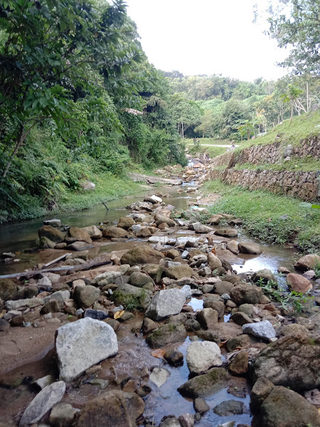 Latar air terjun Setia vista 2