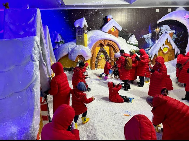 Antarctic Snow World