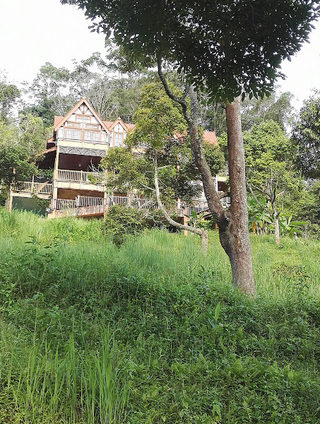 Tempat Pemandangan Ayer Itam 3