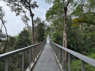 World longest Two Span Stressed Ribbon Bridge 3