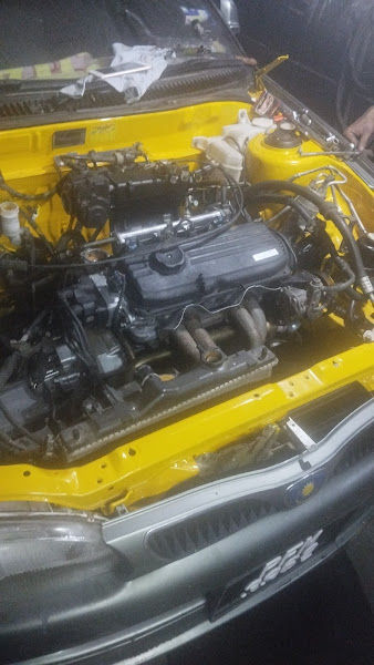 Paddy Field Pmtg Pauh