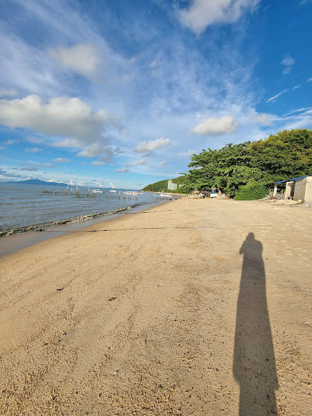 猫猫沙滩 (Cat Beach)