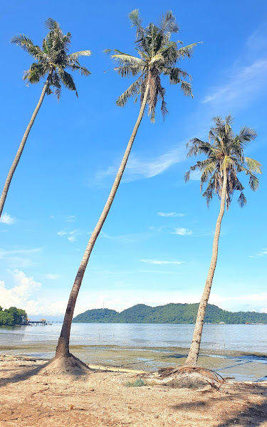 Viewing Area Teluk Aman Beach