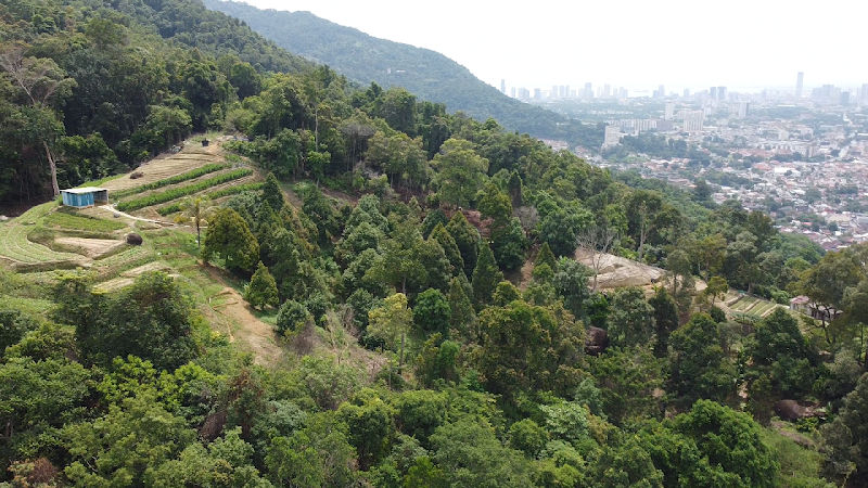 DaBoGong Shrine @ ⅓ Penang Hill