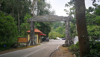 Cherok Tokun Nature Park (National forest) 1