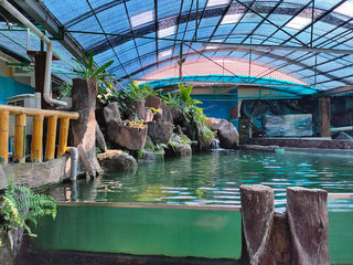 Akuarium Tunku Abdul Rahman (AkuaTAR) 2