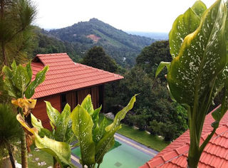 Bao Sheng Durian Farm 1