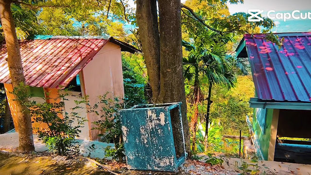 Nibbinda Forest Monastery