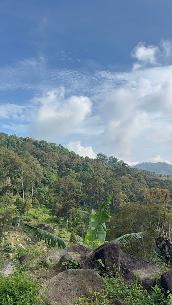 Glass House Viewing Site