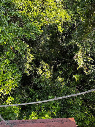 Air Itam Recreation Forest 2