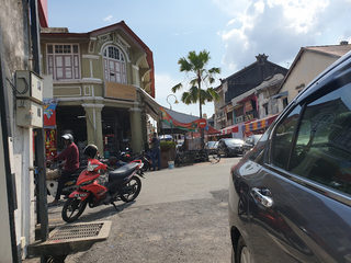 Untrained Parakeet-Sculpture 1