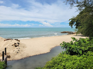 Tropical Public Beach 1