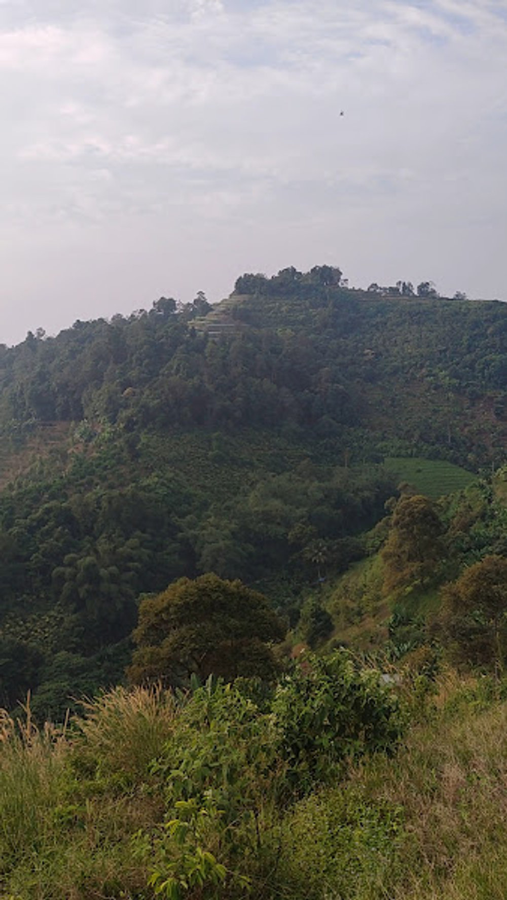 South Hill hiking trail