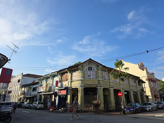 Untrained Parakeet-Sculpture 2