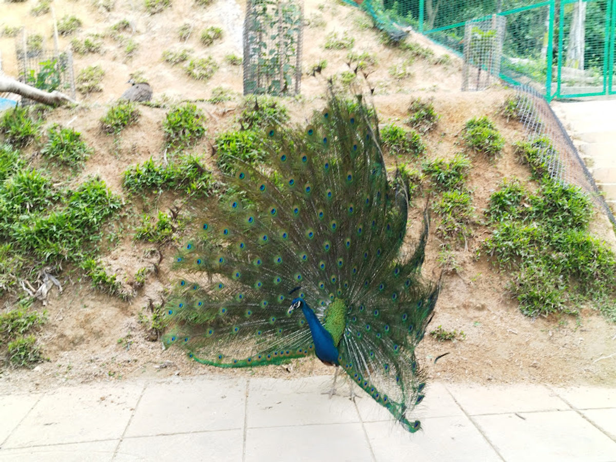 Pantai Acheh Hidden Lake Cafe (Pantai Acheh மறைக்கப்பட்ட ஏரி கஃபே)