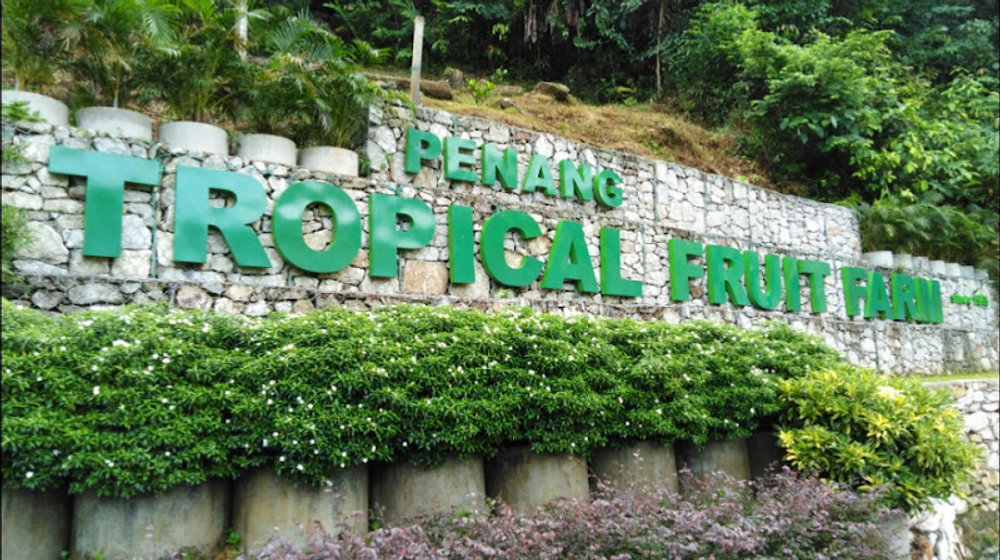 Penang Tropical Fruit Farm