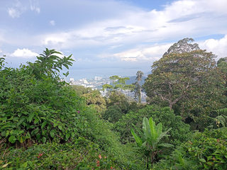 Penang Hill Viewing Area 2