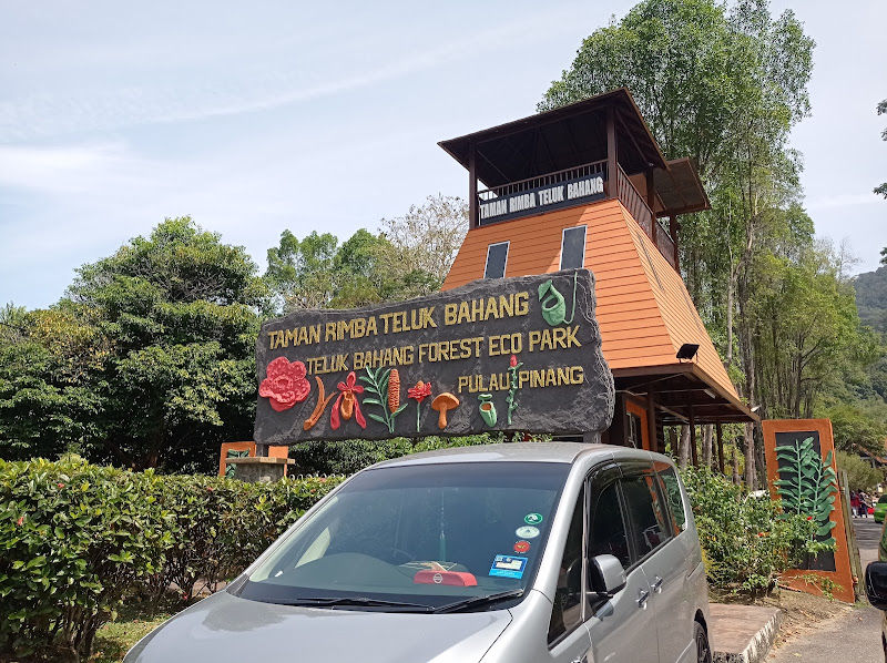 Teluk Bahang Forest