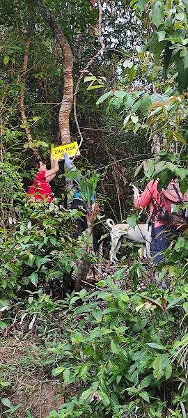 Zita Trail trailhead