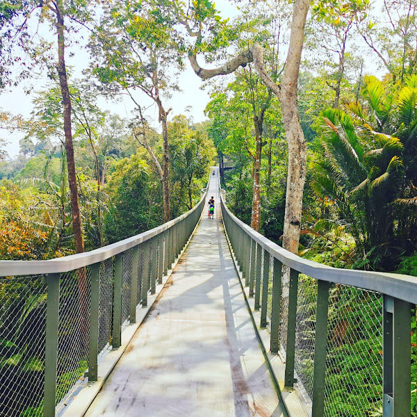 Langur Way Canopy Walk