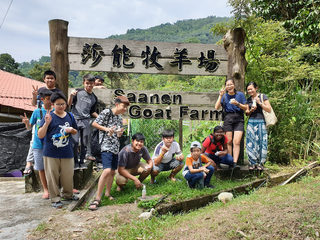 Saanen Dairy Goat Farm 莎能牧羊场 2