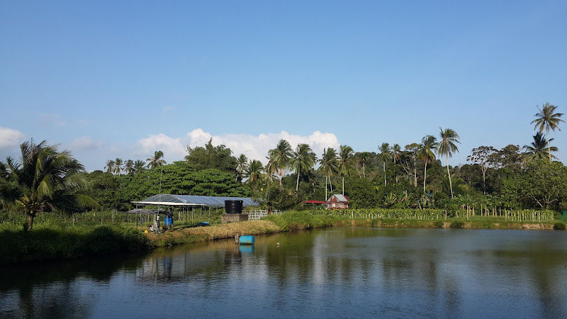 Comfort Organic Farm