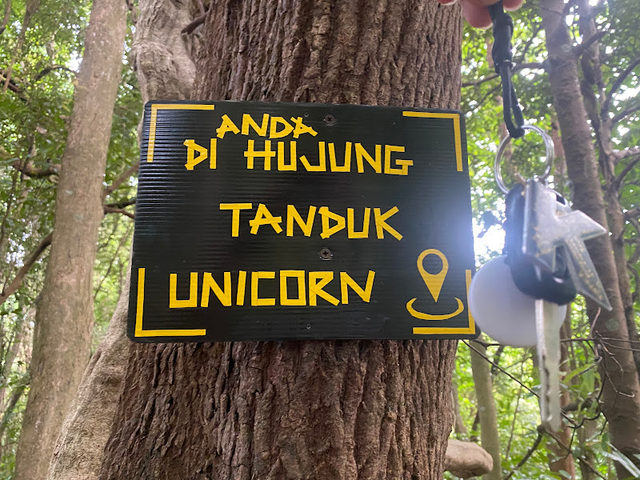 Tanduk Unicorn
