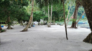 Penang Monkey Beach 2