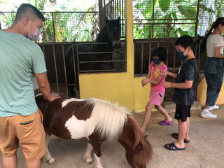 Countryside Stables Penang 2