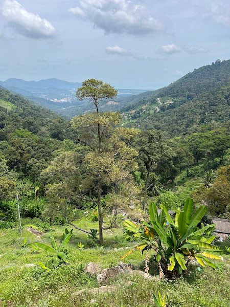 Balik Pulau Hill View Point
