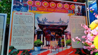 Penang Snake Temple 2
